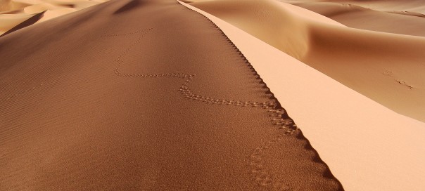 1600x1200 Namibia Sand Dunes Desert
