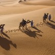 Men Leading Camels in Desert