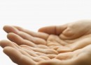 Open Hands Open Hands